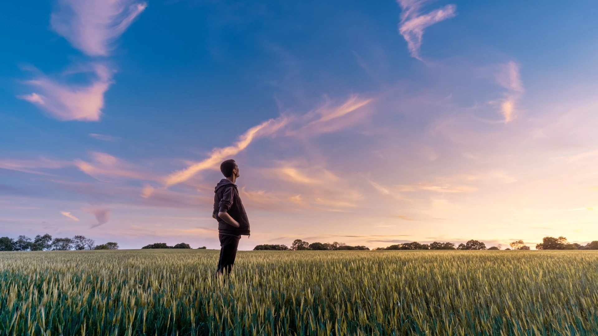 A man in a field, standing facing away from the camera, enjoying the sunlight.
